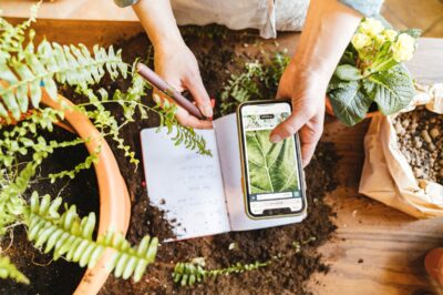 The Best Gardening Apps For iOS And Andriod Every Gardener Needs In 2023 [Updated 2024]