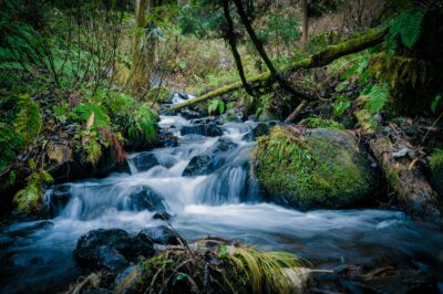 Finding Calm in a Digital World
